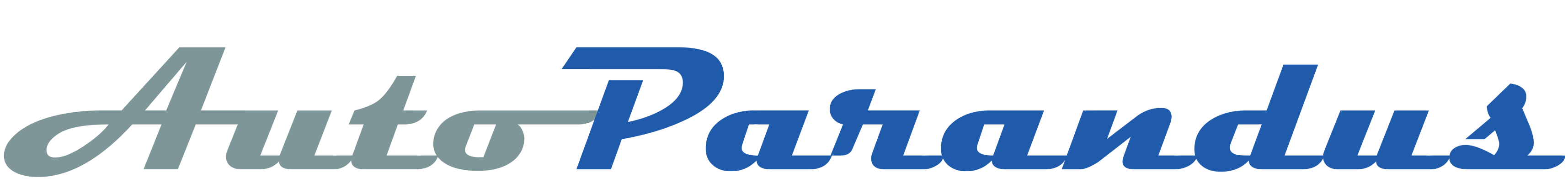autoparandus logo
